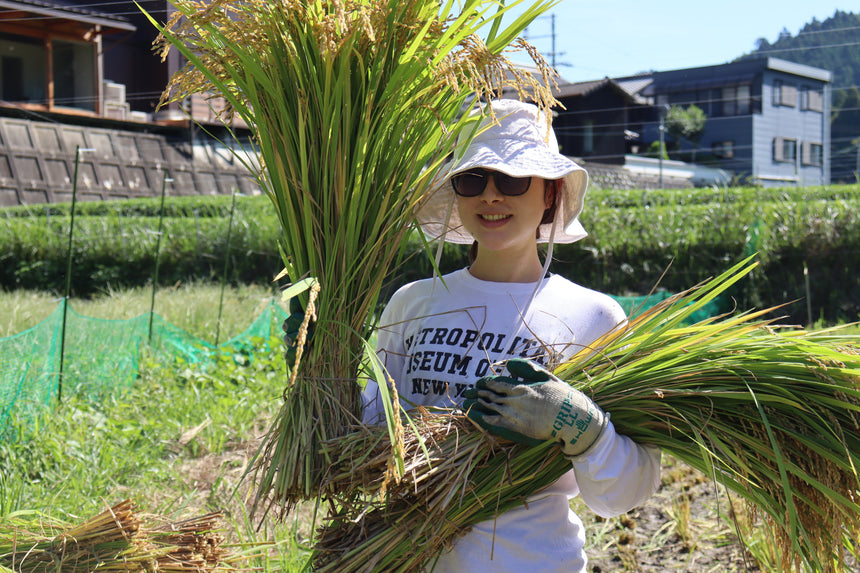 Mariko's Tea Journey