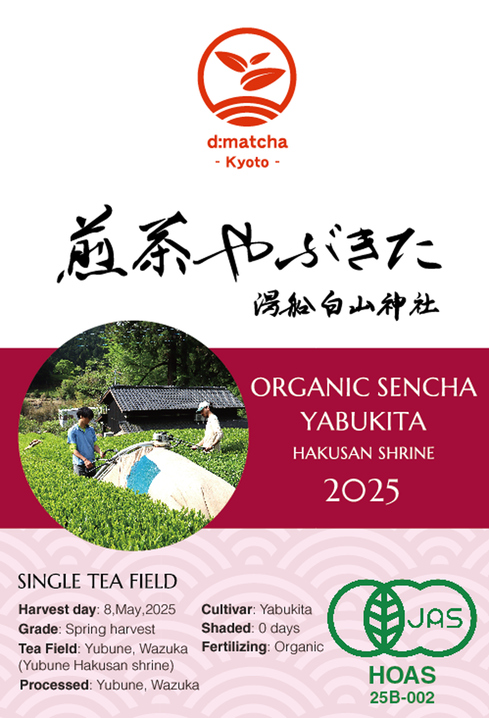 JAS Organic Certified] 2025 Sencha Yabukita – d:matcha Kyoto