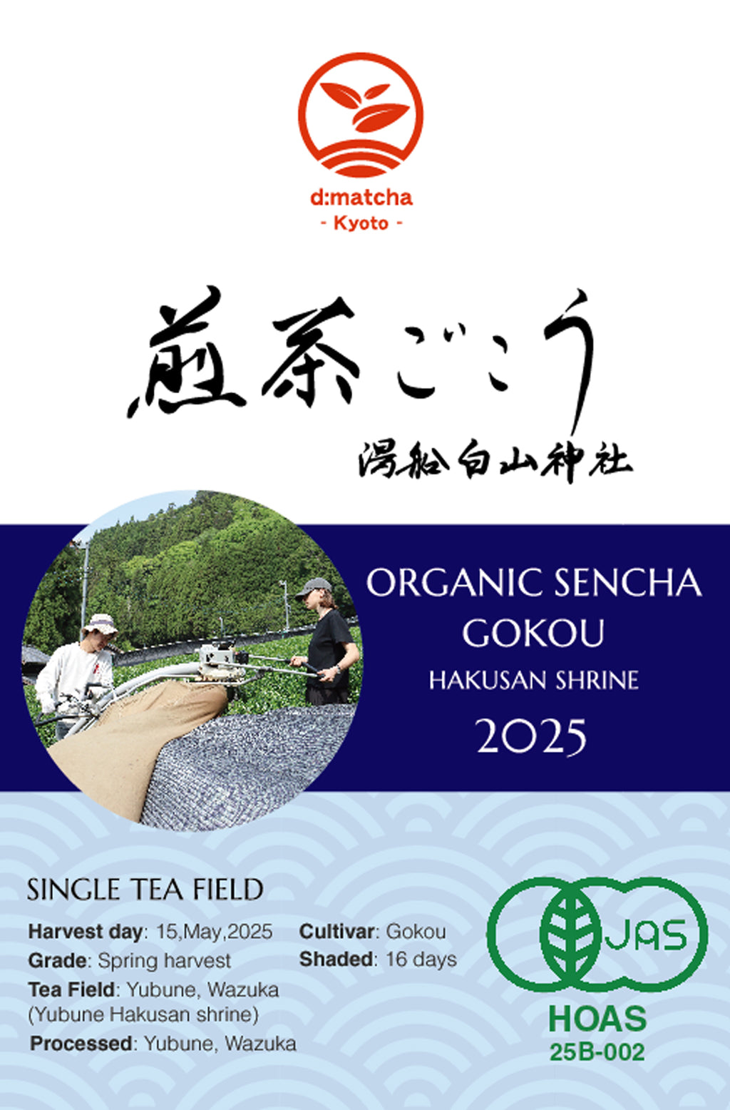 JAS Organic Certified] 2025 Sencha Gokou – d:matcha Kyoto