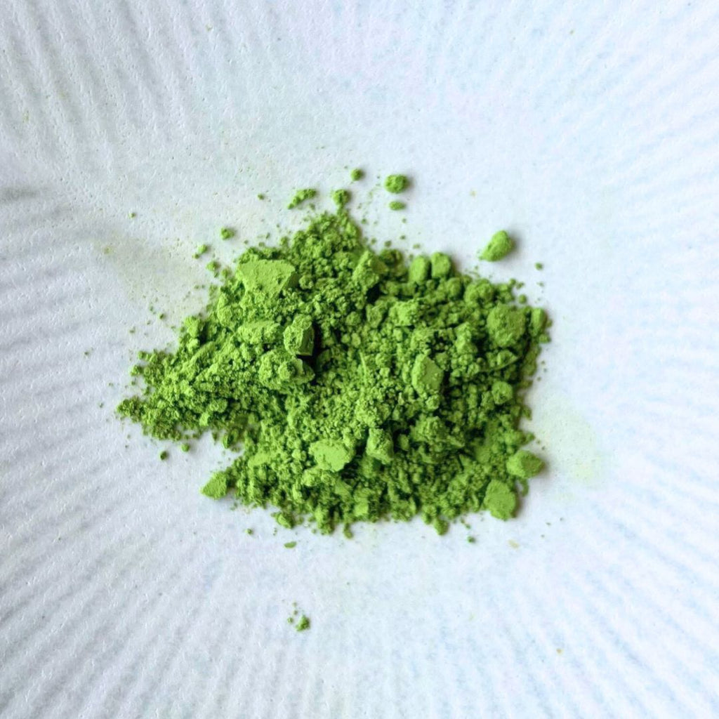 Spring Harvest Matcha - Ujimidori – d:matcha Kyoto
