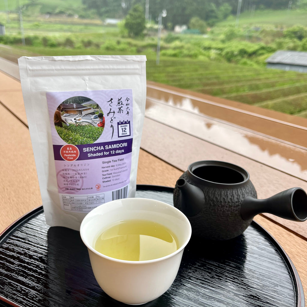 2024 Sencha First Flush: Samidori – d:matcha Kyoto