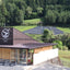 Tea Farm Tour & Tasting in Wazuka, Kyoto