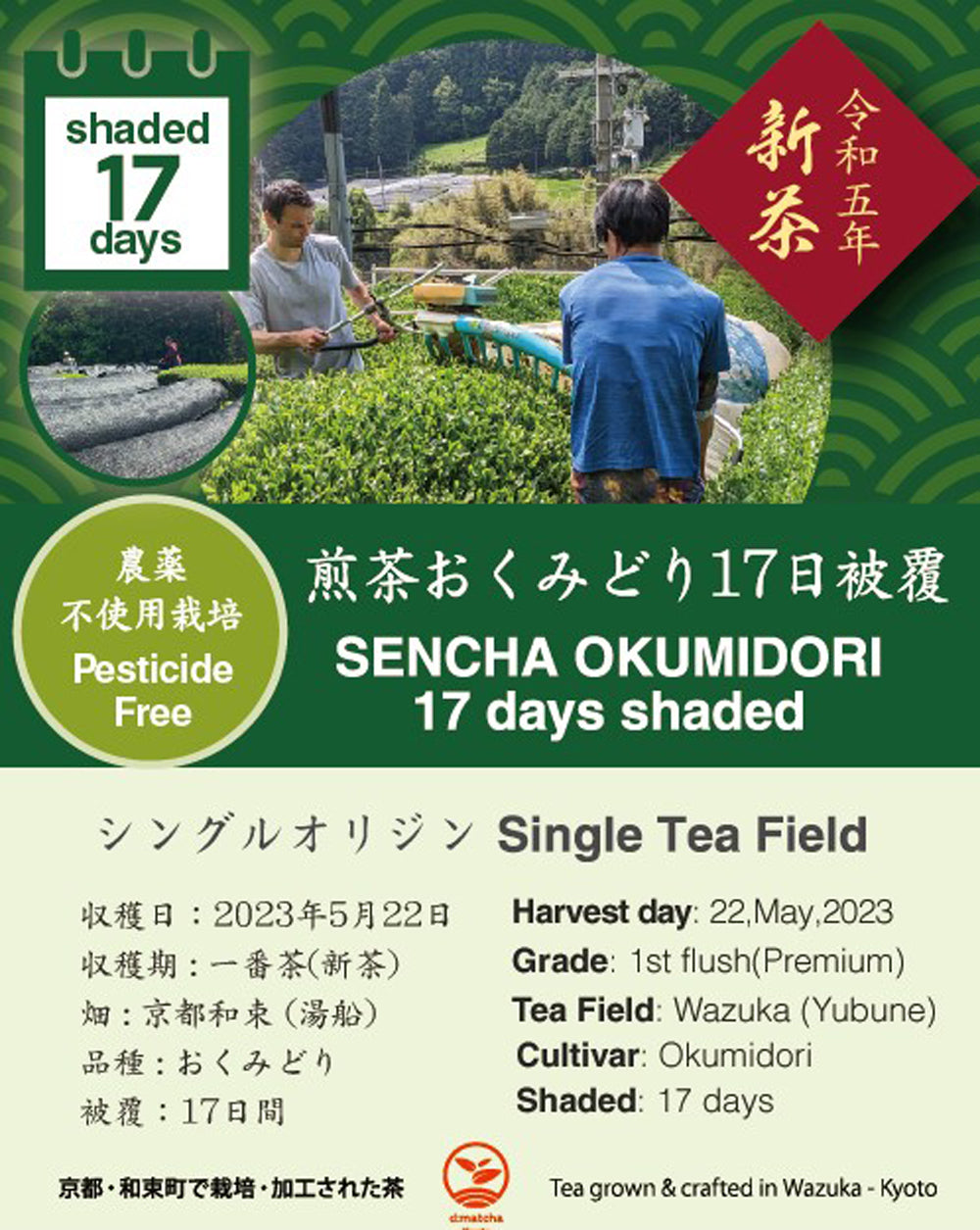 抹茶ページ 2023 Sencha First Flush: Okumidori - 17 days shaded – d:matcha Kyoto