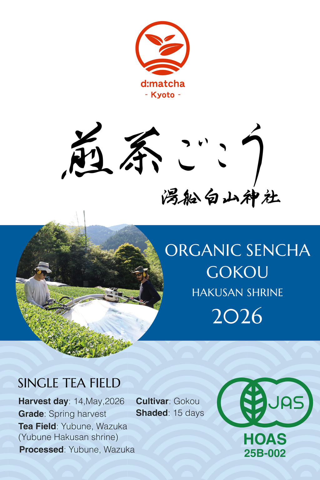JAS Organic Certified] 2026 Sencha Gokou – d:matcha Kyoto