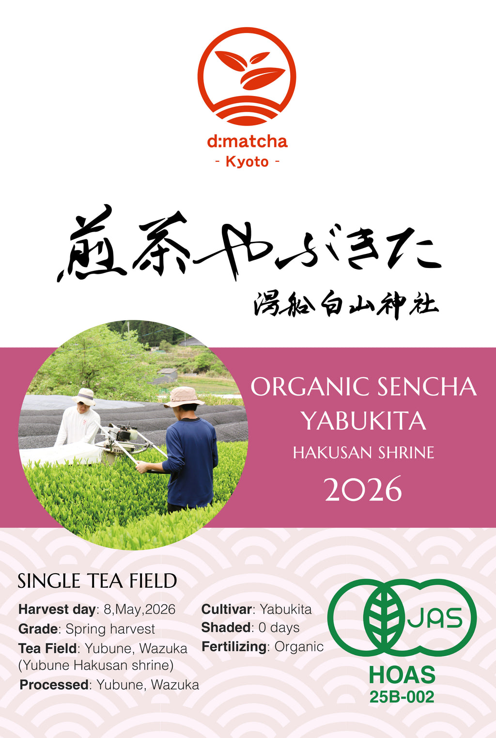 JAS Organic Certified] 2026 Shincha Yabukita – d:matcha Kyoto