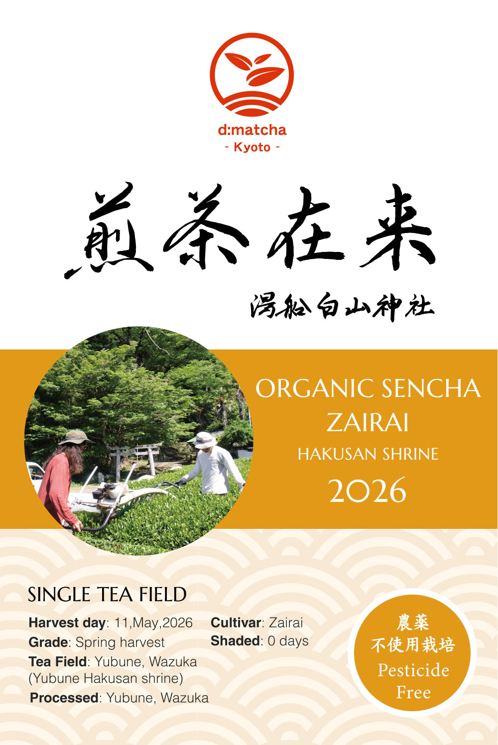 2026 Organic Sencha Zairai – d:matcha Kyoto