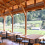 Tea Farm Tour & Tasting in Wazuka, Kyoto
