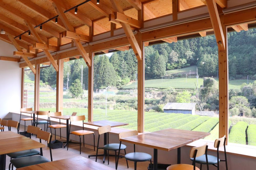 Tea Farm Tour & Tasting in Wazuka, Kyoto