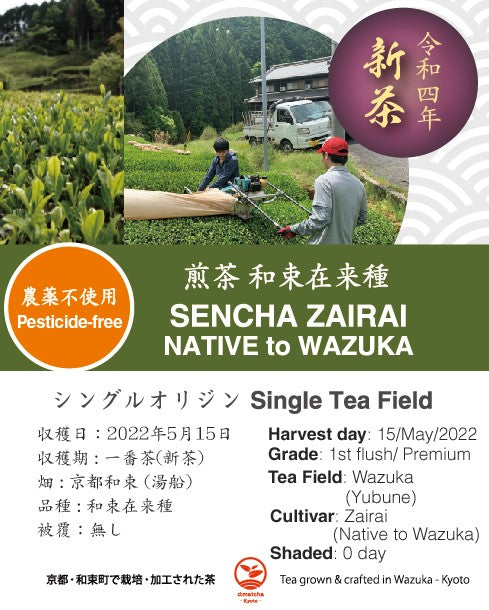 2022 Sencha First Flush: Uji Zairai