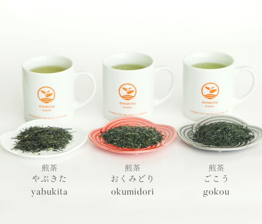 Sencha tea bag - cultivar comparison set