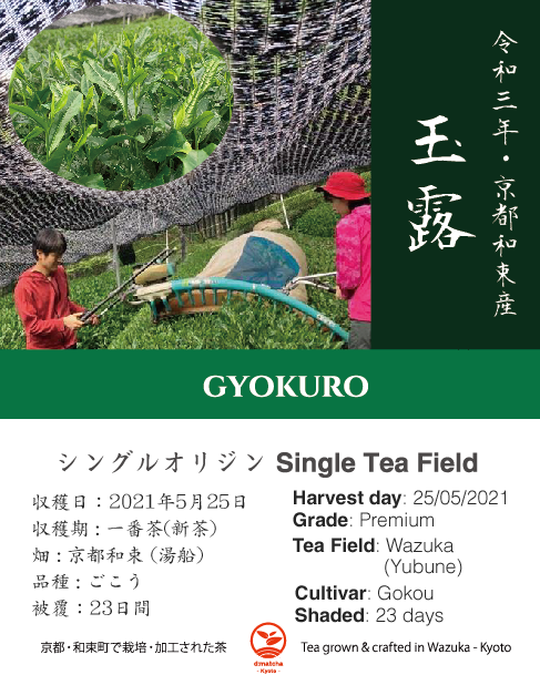 Complete Introduction to Wazuka Tea – d:matcha Kyoto