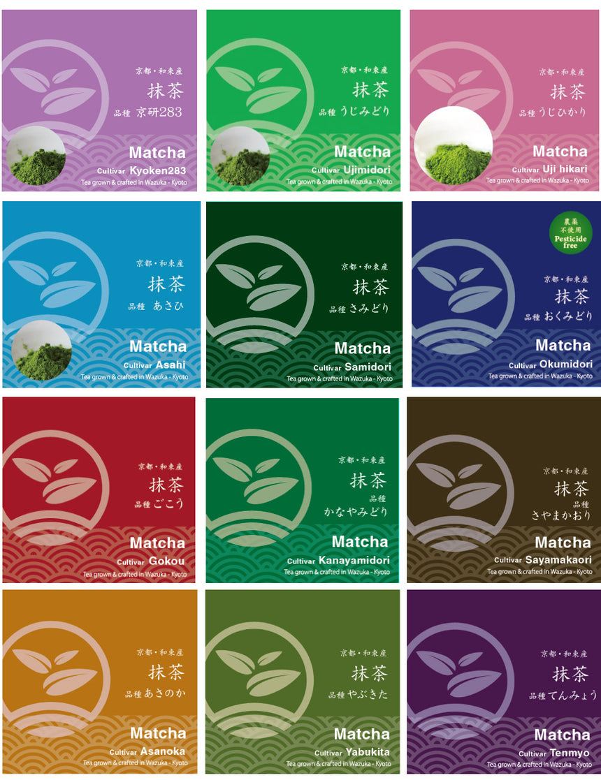 Ultimate Ceremonial Matcha Sampler (12 bags)