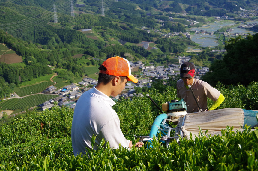 Tea Business School for Tea Entrepreneurs