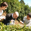 Tea Business School for Tea Entrepreneurs