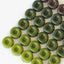 Matcha Chocolate Set (Large)