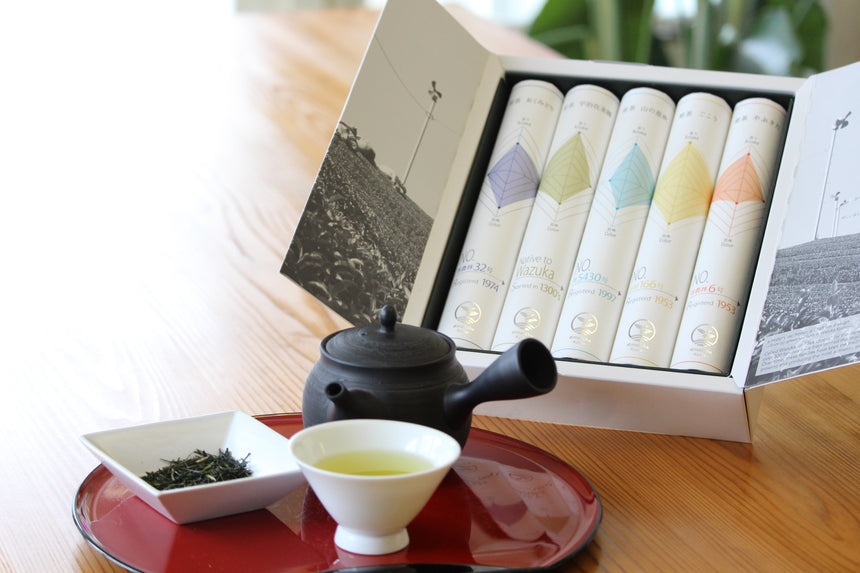 Sencha Tasting Gift Set