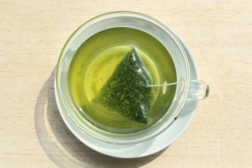 Sencha in Tea Bags (8 bags)