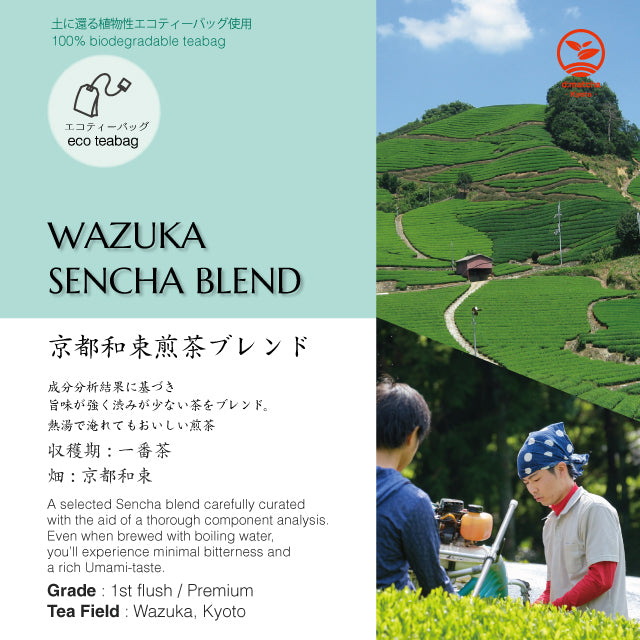 Sencha Tea Bag - d:matcha Kyoto