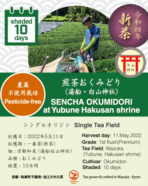 2022 Sencha First Flush: Okumidori - Yubune Hakusan Shrine