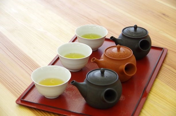 Tea Farm Tour & Tasting in Wazuka, Kyoto
