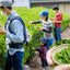 Tea Farm Tour & Tasting in Wazuka, Kyoto