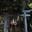 Tea Farm Tour & Tasting in Wazuka, Kyoto