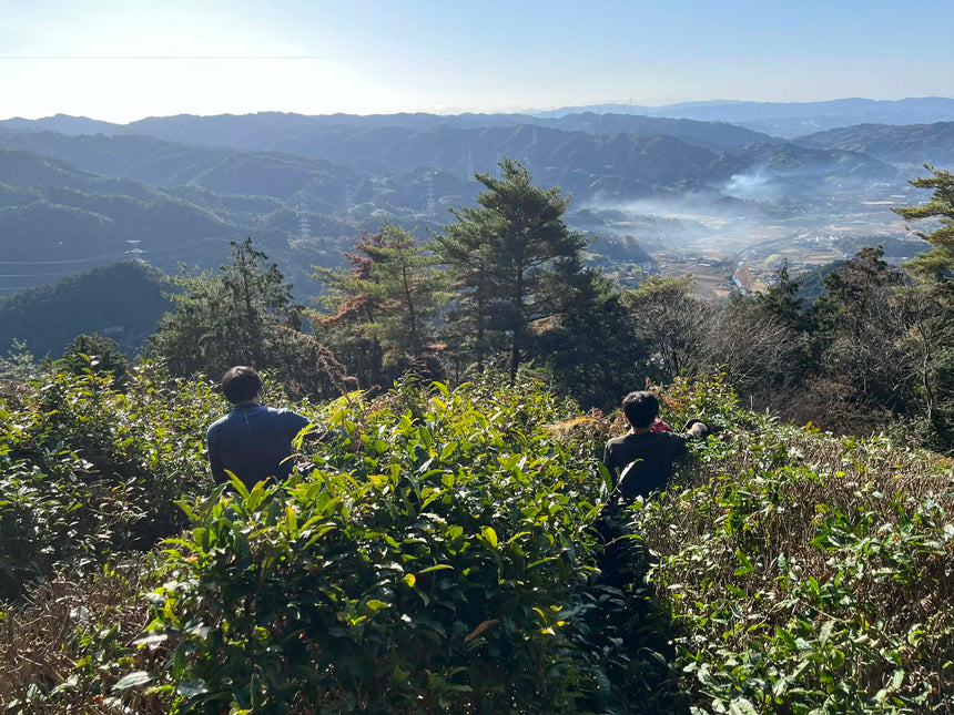 Outdated Tea Lands Abandoned Tea Plantations β d:matcha Kyoto