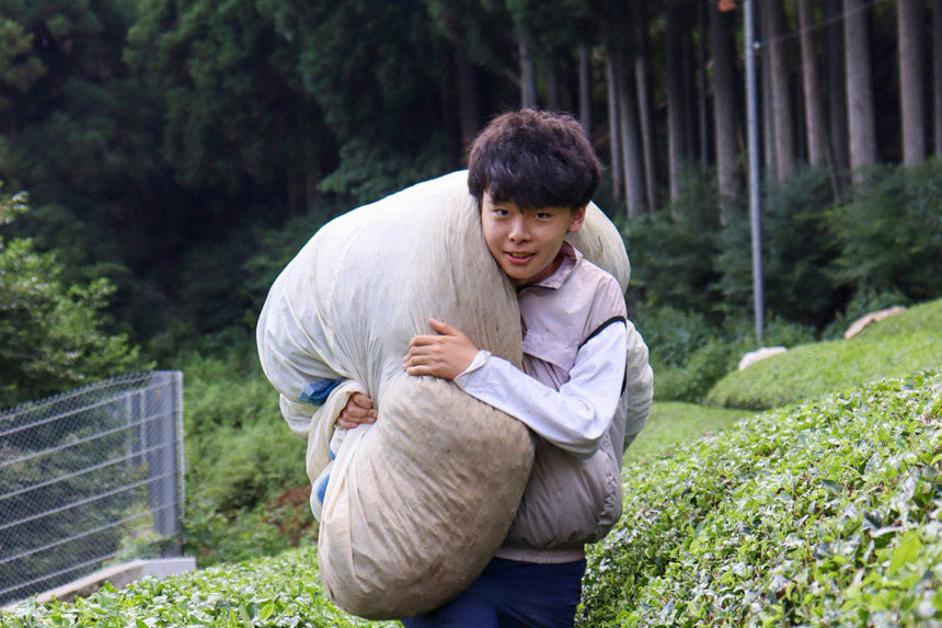 Keishi's Tea Journey