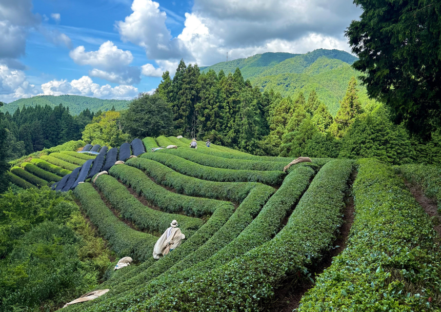 July 2025 Newsletter