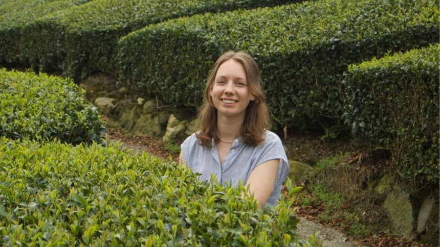 Franzi's Tea Journey