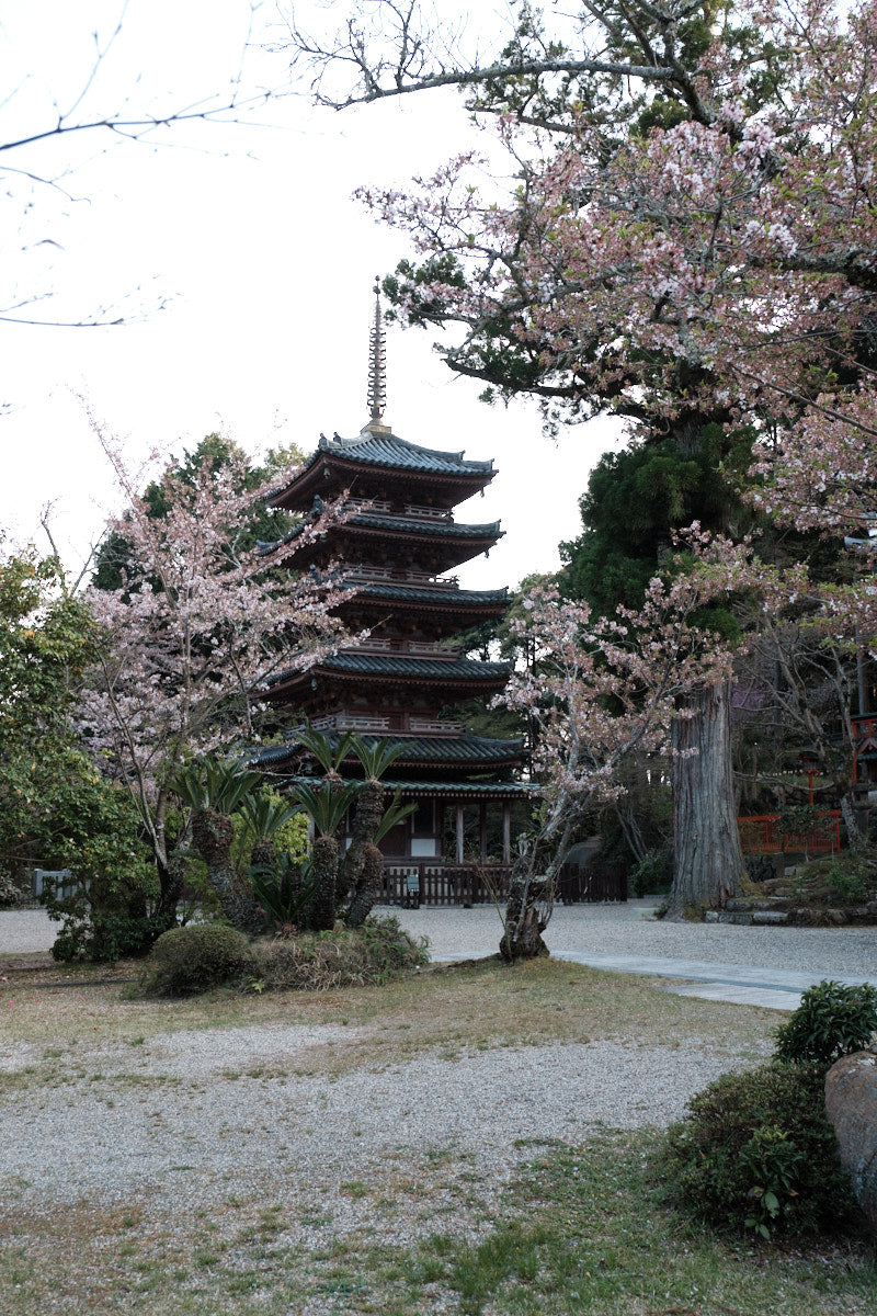 Kaijūsen-ji (海住山寺)