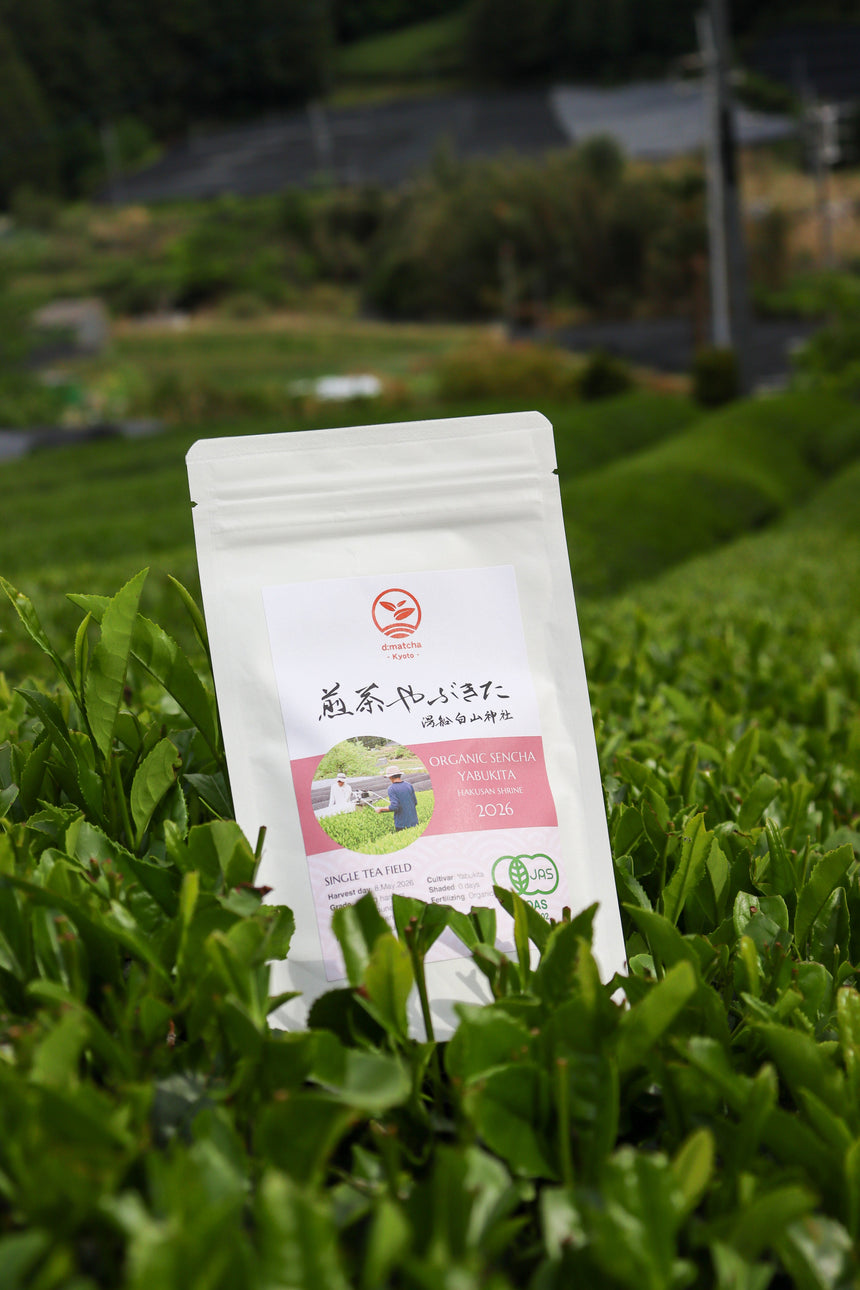 What is Shincha?