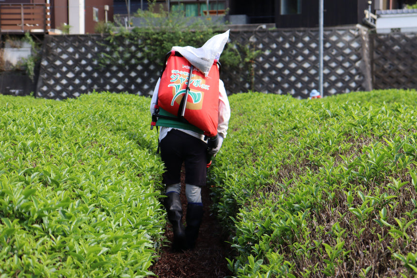 About the Field: Timing of Fertilizer Application