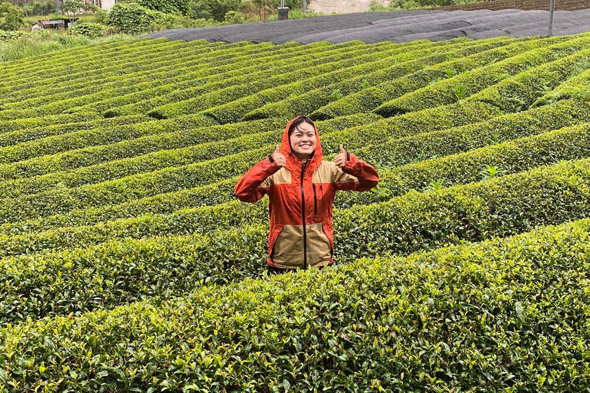 Alyssa's Tea Journey