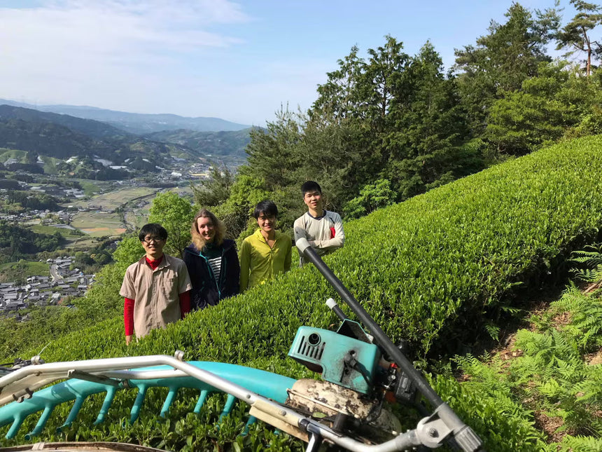 Lucie's Tea Journey