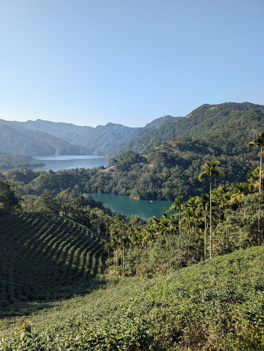 January 2026 Newsletter