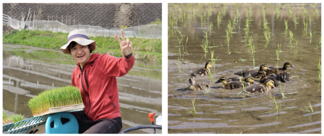 April 2025 Newsletter