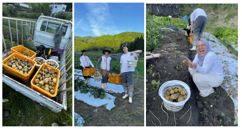 June 2025 Newsletter