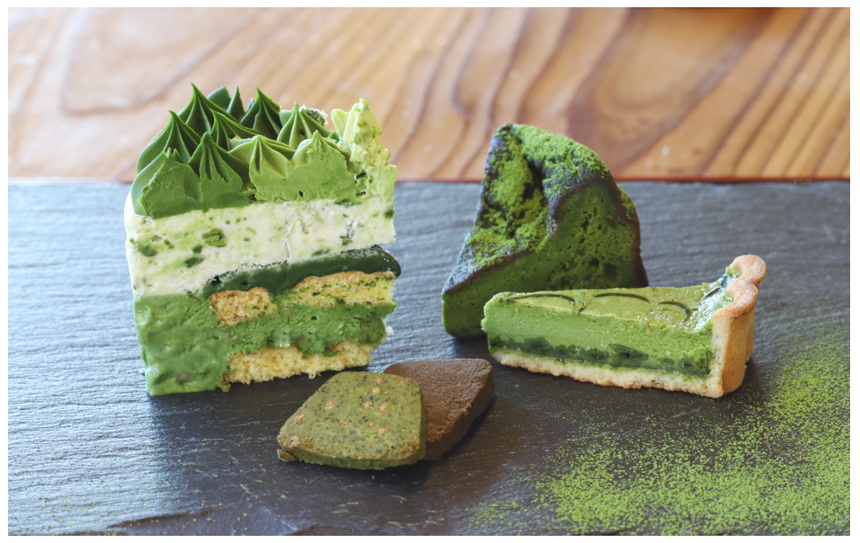 October 2025 Newsletter