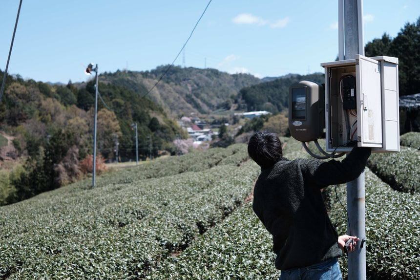 Japan’s threatened fields of green - d:matcha Kyoto