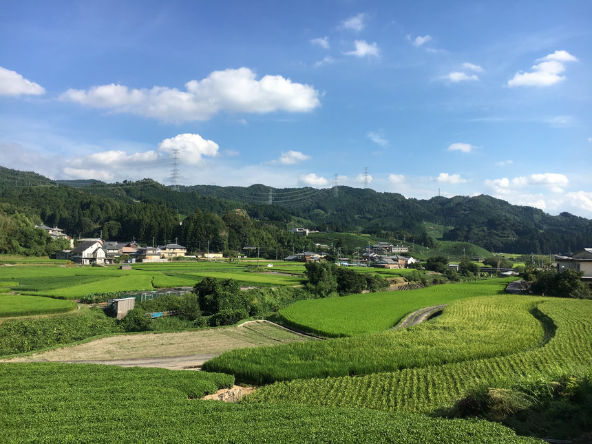 Revitalizing an industry threatened by an aging population - d:matcha Kyoto