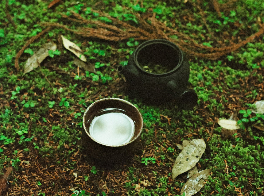 Sencha