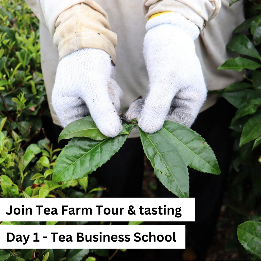 Tea Business School for Tea Entrepreneurs