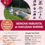 2024 Sencha First Flush: Yabukita - Yubune Hakusan Shrine