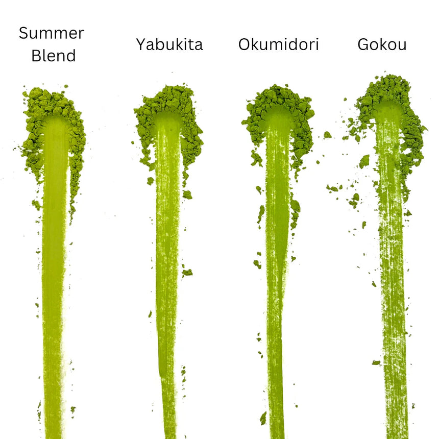 [JAS Organic] Spring Harvest Matcha - Okumidori (1kg)