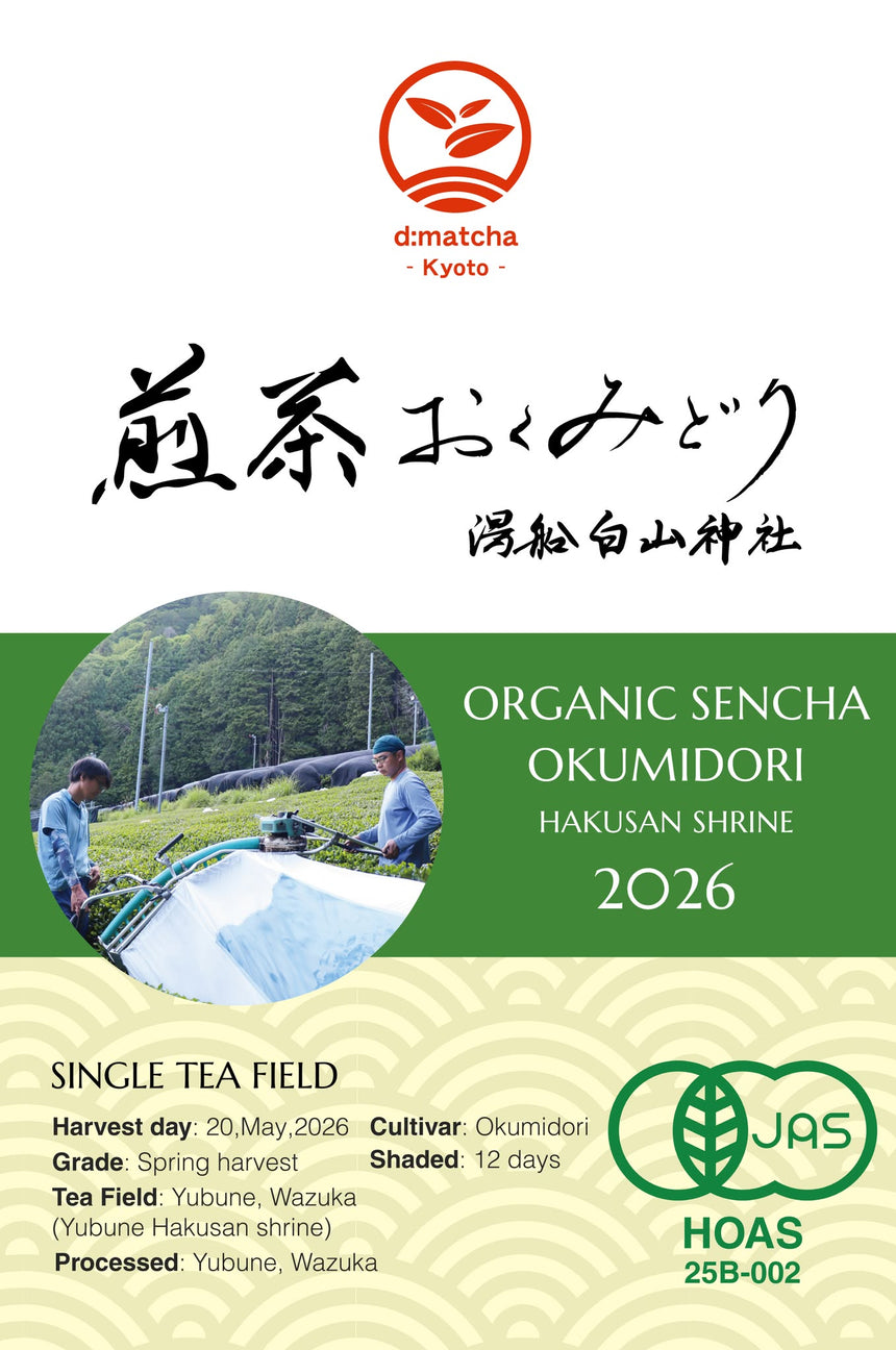 [JAS Organic Certified] 2026 Sencha Okumidori
