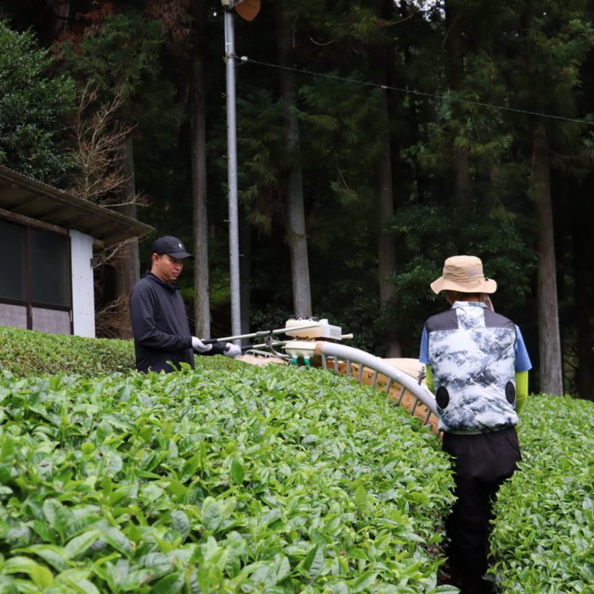 Tea Business School for Tea Entrepreneurs