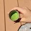 To-Go Matcha Shaker