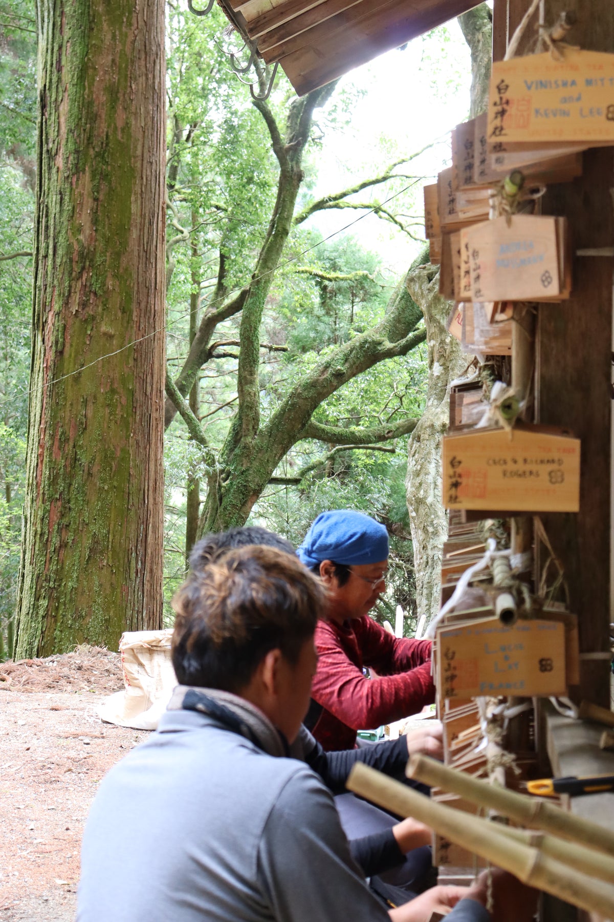 Working with local tradespeople