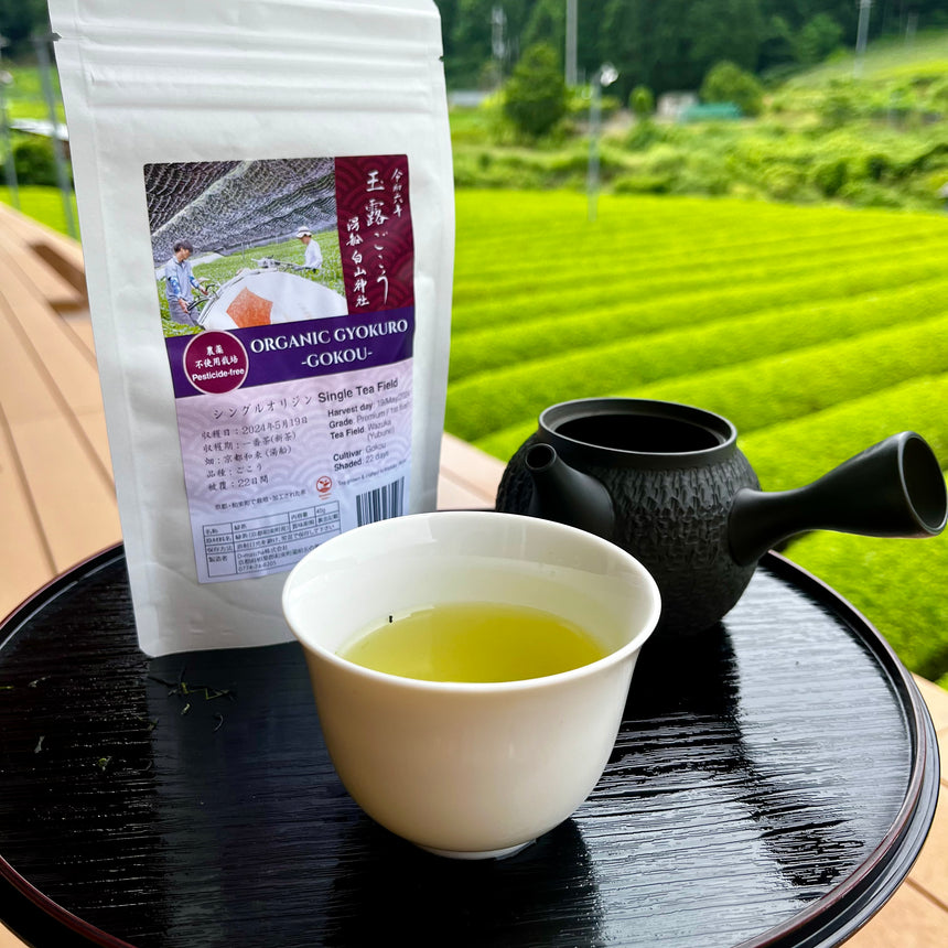 2024 First Flush: Organic Gyokuro (cultivar Gokou)